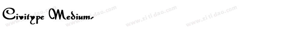 Civitype Medium字体转换